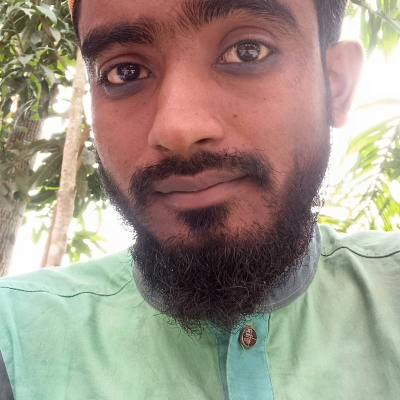 md, 31, United states